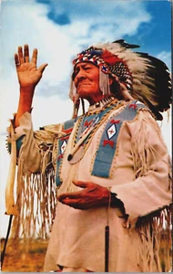 Postal de colección de indios nativos americanos Chief Bull B167 - Imagen 1 de 2