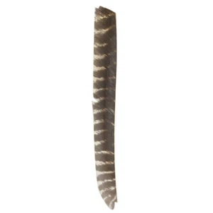 Arrow Full Length Natural Fletches RW Turkey Feather Archery DIY Shaft Hunting - Picture 1 of 16