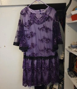 Purple Flapper Costume Dress - Picture 1 of 5