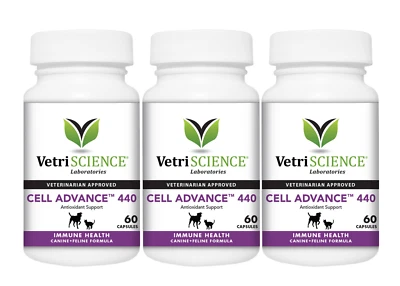VetriScience Cell Advance 440 Fórmula de salud inmune para perros y gatos 60 Juego de 3 Foto 1 de 4