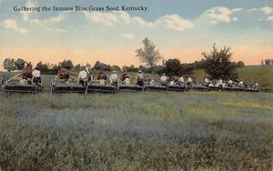 Postal de Blue Grass Seed Harvest Reapers Farming Kentucky años 1910 - Imagen 1 de 2