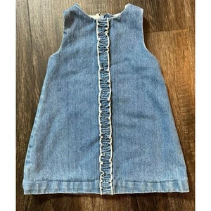 Baby Gap Infant Girls Lined Denim Dress with Ruffle Detail Size 6-12 Months - Picture 1 of 6