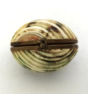 Echt Muschel Schmuckdose Naturschmuck Pillendose Messing aufklappbar - Bild 1 von 9