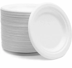 125 Pezzi Bagasse Piatti Compostabili, Piatti da Dessert Rotondi (6 In, Confezione da 125) - Foto 1 di 3