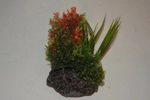 Acuario Planta Y Roca Base con Ventosa Puede Montado Sobre Vidrio 10 x 23 CM C - Imagen 1 de 6