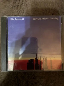 Picture Perfect Morning von Brickell,Edie | CD | Zustand gut - Bild 1 von 2