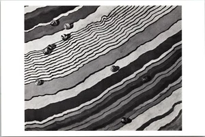 Gemälde Ausstellung, Pat Apt 1988 Front Street Deli Bath Maine Postkarte - Bild 1 von 4