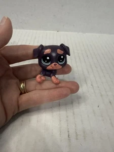 Littlest Pet Shop Rottweiler púrpura 04-180 - Imagen 1 de 5