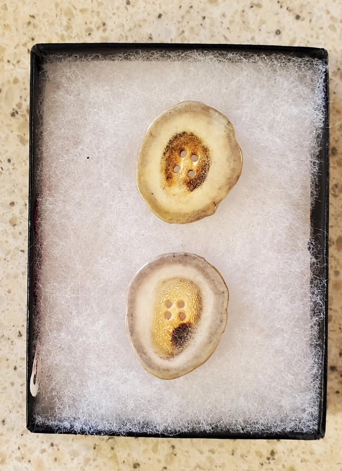 Horn Buttons Gray Brown 2 Vintage Buttons D12 LOT 12 - Image 1 of 1