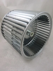 RUEDA SOPLADORA JAULA ARDILLA HORNO AMANA B1368063S 9-12" DIÁMETRO 8 ANCHO EJE 1/2 - Imagen 1 de 6