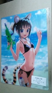 two plastic board shitajiki ajisai denden happoubi jin ajisaidenden - Bild 1 von 2