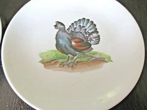 7" ARZBERG PKK GERMANY HANDMALEREI PLATE FOR HANGING VINTAGE - Picture 1 of 2