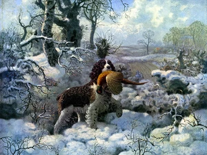 ENGLISCHER SPRINGER SPANIEL BEZAUBERNDER HUND GRUSS NOTIZKARTE HUND IN SCHNEESZENE - Bild 1 von 1