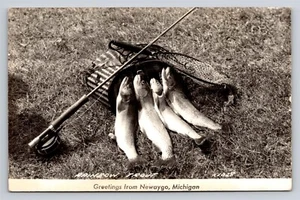 Tarjeta postal de pesca con mosca RPPC Saludos desde Newaygo MI Rainbow Trucha Pez enviada 1952 - Imagen 1 de 3