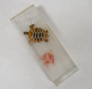 Imán acrílico de recuerdo para refrigerador de las Islas Caimán con tortuga y pez - Imagen 1 de 6
