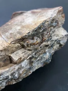 1 lb. Versteinerter Holzstamm/Aufsteller/Stein/Blumenbeet/Natur/Kristall, Edelsteine - Bild 1 von 12