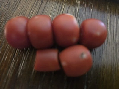 Rare Tibetan Deep Red  Coral Beads. - Image 1 of 4