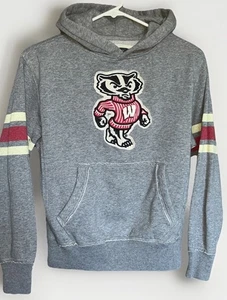 Wisconsin Badgers Vtg Youth S Hoodie Bucky Appliqué Colosseum Gray Varsity Style - Picture 1 of 12