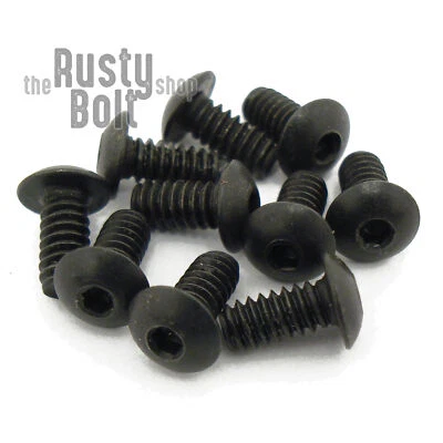 THE RUSTY BOLT SHOP #4-40 x 1/4", Socket Button Head Screws, Stainless Steel, Black Oxide