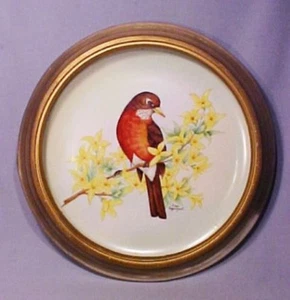 Hand Painted Original Signed Robin Bird Framed Porcelain Plate - Gorgeous! - Picture 1 of 5