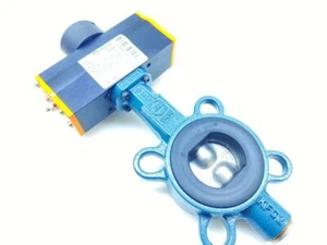 EBRO ARMATUREN TYPE EB4.1 SYD PNEUMATIC ACTUATOR W/ Z011-A SEATED VALVE - Picture 1 of 8