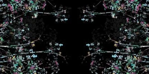 John Kaldor Paris Charmeuse Silky Satin Fabric Black - per metre - Picture 1 of 6