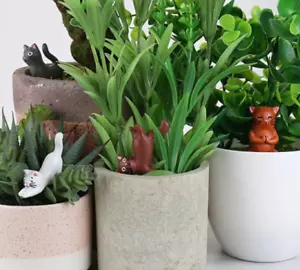 GR Yoga Cats Mini Plant Pot Markers Novelty Garden House plant Ornament - Picture 1 of 3