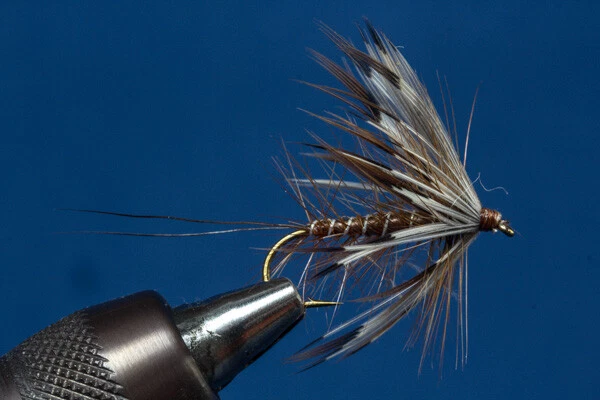 Fliegentom Trockenfliege - 3 Stück Palmermaifliege braun - Bild 1 von 1