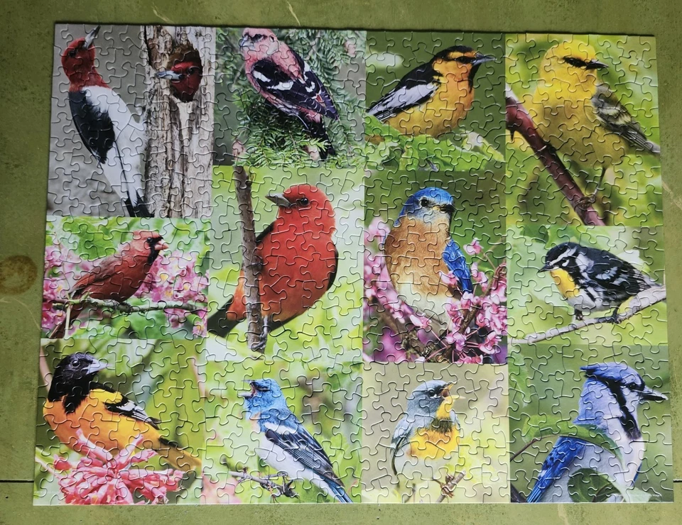 SPRINGBOK головоломка 2014 птицы перо 500pc полный  - Изображение 1 из 2