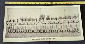 NEGRO LEAGUES BALTIMORE ELITE GIANTS 1949 TEAM PHOTO POSTER 19 IN X 9.5 IN - Picture 1 of 6
