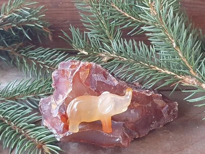 Carneol Rohsteine + Carneol-Elefant – Set Elefant Gravur - Bild 1 von 4