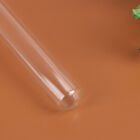 New Clear Mini Ant Nest Farm with Glass Nest Tubes Ant Feeding Area Toys $d