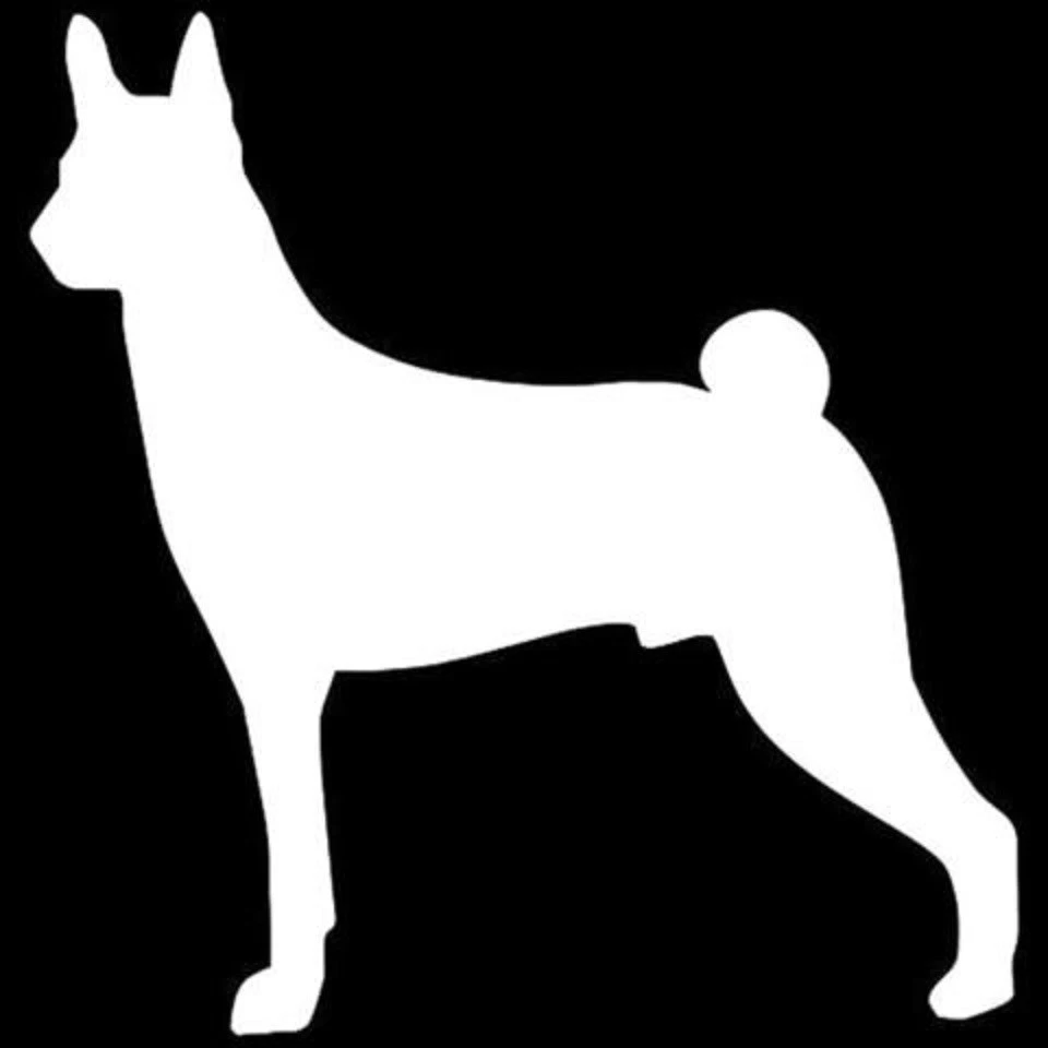 Calcomanía de vinilo para automóvil Basenji perro pared computadora portátil pegatina parachoques ventana Foto 1 de 1