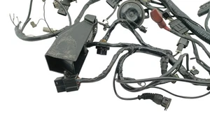 Faisceau Eléctrico DUCATI MONSTER 900 2001 A 2002 - Imagen 1 de 8