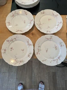 set/4 piatti perfetti 10" Theodore Haviland Limoges + altri 4 quasi perfetti - Foto 1 di 6