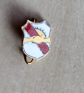 Vintage unknown to me brooch Argentina pin badge Football Club - Picture 1 of 2