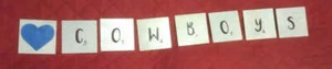 COWBOYS Wall Art Accents - Picture 1 of 6