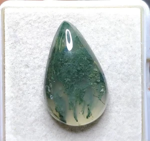 Ciondolo pietra preziosa sciolta 19,5X12X5,3 mm agata muschio naturale cabochon misura 3-36 - Foto 1 di 3