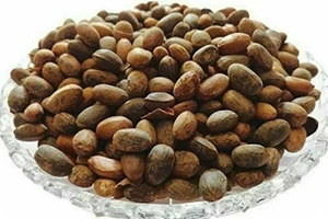Jamalgota/Croton Tiglium/Jayaphala/Jamalghota Whole Seeds , 100% Indian Herbs - Picture 1 of 3