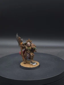 Warhammer 40k Legio Custodes Shield Captain Painted - Picture 1 of 7