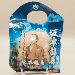 Kyoto Ryoma Sakamoto Life Trajectory Kaiyodo Figure Collection Japan W472 - Picture 1 of 4