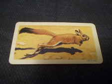 Red Rose Blue Ribbon Tea Brooke Bond Series 7 African Animals - choose from list