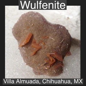 Wulfenite Villa Almuada, Chihuahua, Mexico Mineral Specimen Rare From This Local - Picture 1 of 5