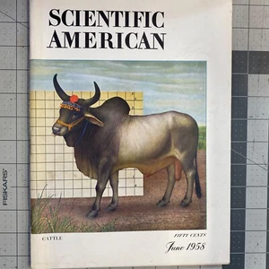 Scientific American June 1958 Superfluidity Gout Easter Island Talking Boards - Picture 1 of 2