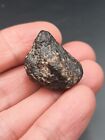 Tindouf Meteorite Chondrite NWA 869 - 12,97g / 2,5cm Algeria nice fusion crust