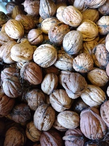 Walnüsse, Bioqualität Sachsen-Anhalt, Frisch, 500g, unbehandelt, Naturbelassen - Bild 1 von 1