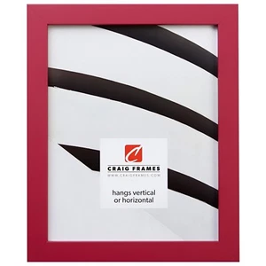 Craig Frames 0.875" Confetti, Modern Raspberry Pink Solid Wood Picture Frame - Picture 1 of 11