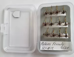 BUY a Lot of 12 Flies size #12 " Adams Female " & ( Get free pocket fly box ) - Bild 1 von 5