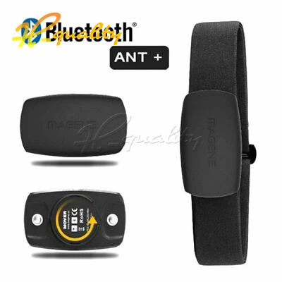NUEVO MHR10 ANT + Sensor de frecuencia cardíaca Bluetooth para Garmin/Bryton/iGPSPORT/Suunto - Imagen 1 de 4