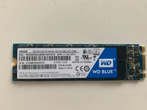 SSD M2 NGFF SATA Western Digital Blue 500Gb - Bild 1 von 1